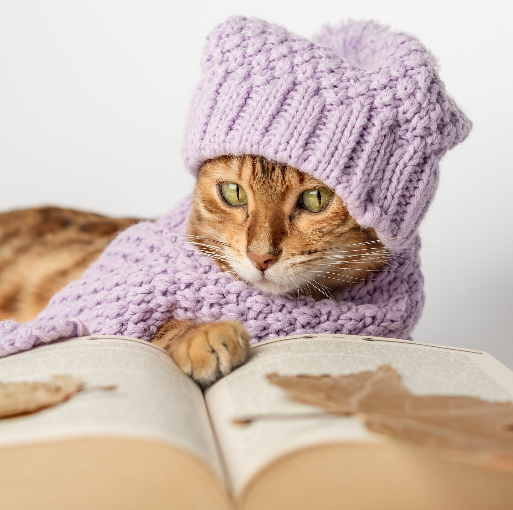 Miért jó egy könyvből ellesni a kézimunka fortélyait?